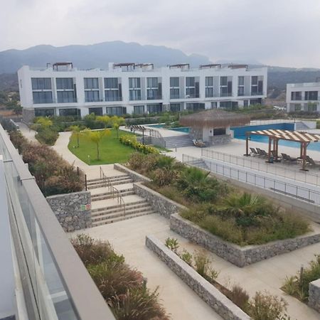 Beachfront Penthouse Studio Apartment, Eco Wellness Resort, Heated Pool Кирения Екстериор снимка